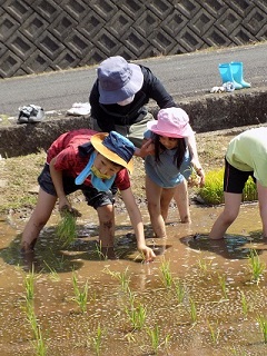 いも植え・田植え