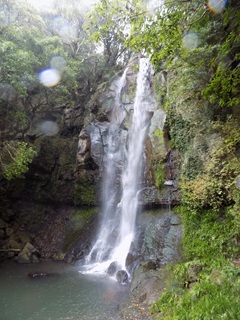 冬の山